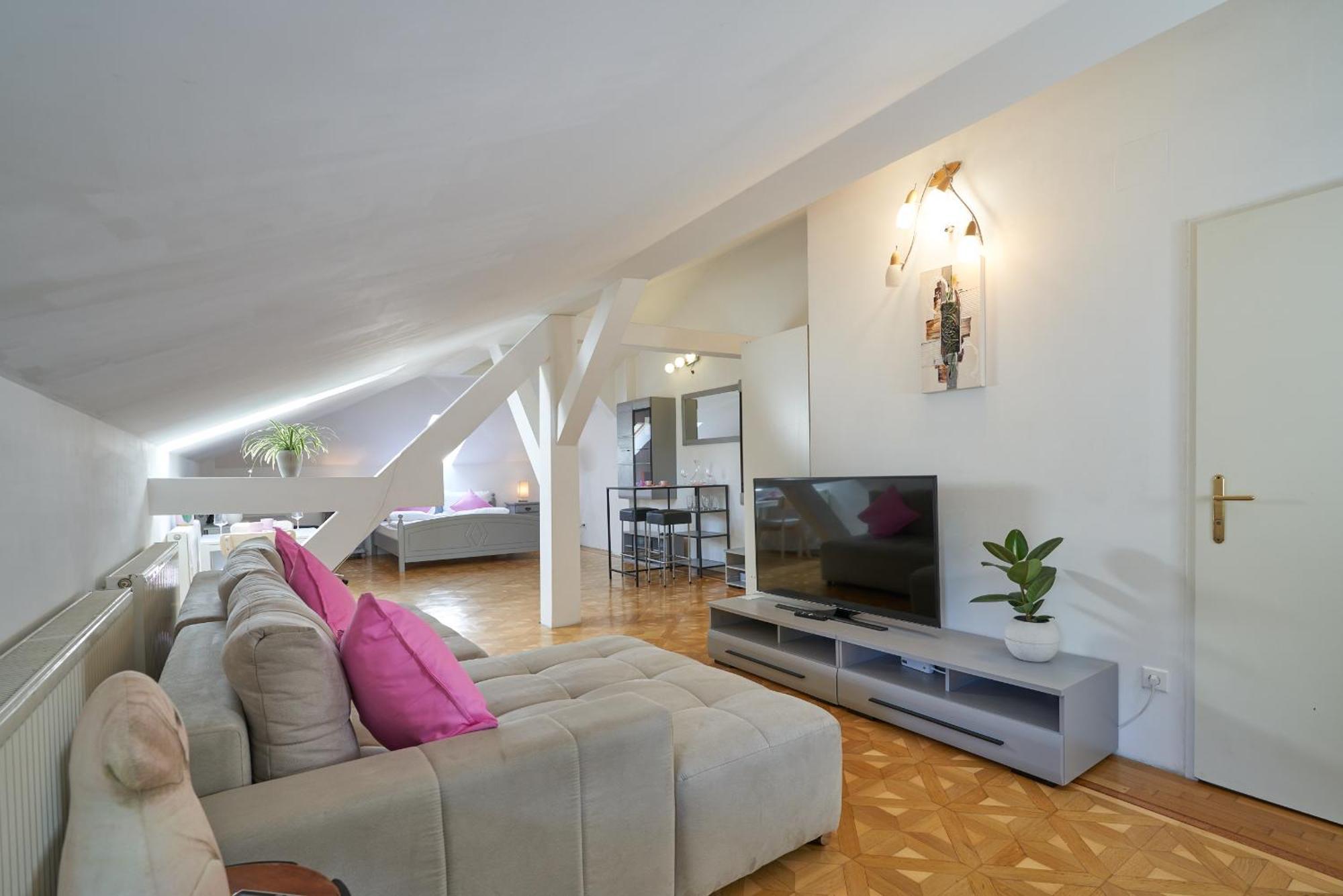 Big Apartment In Guesthouse Baden Extérieur photo